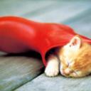 Аватара пользователя