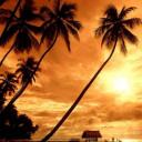 Аватара пользователя