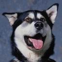 Аватара пользователя